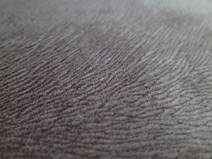 burnout velvet for sofa