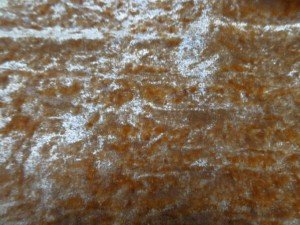 crushed velvet fabric
