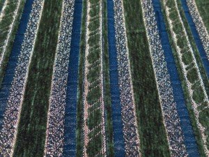striped woven fabric