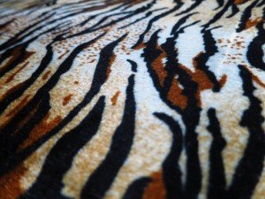 zebra printing plush fabric