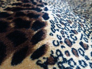 velboa animal print fabric