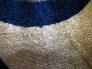fabric for cushion covers